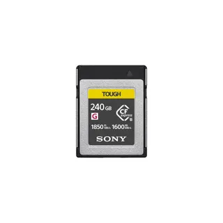 Carte SD SONY 252912