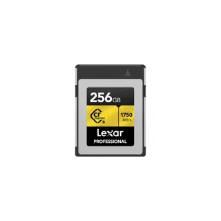Carte SD LEXAR 251007