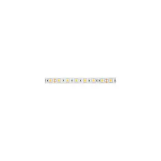 CONECTICPLUS Ruban à LED chaud 300 LED's 5m 24 vo