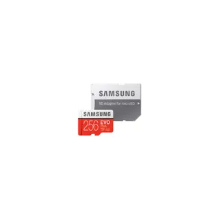 Carte Micro SD SAMSUNG Micro SD 256Go EVO PLUS  + adapt