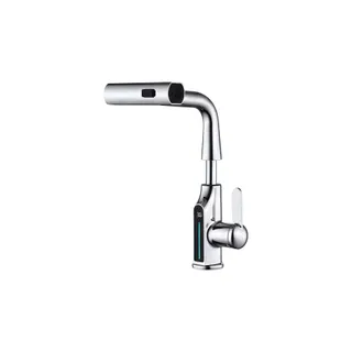 Robinet AVIZAR Extensible avec Affichage de Température