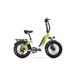 Vélo électrique TT GO F6
