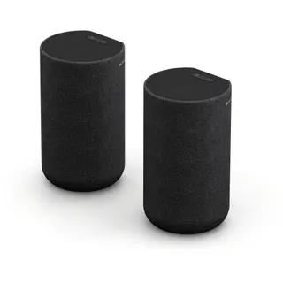 Kit enceinte surround SONY Enceintes arrières SARS5 x2