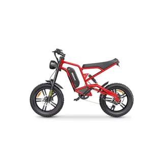 Vélo électrique HIDOES B6