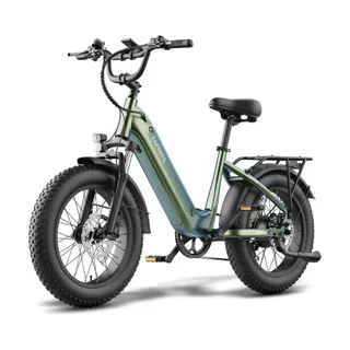 Vélo électrique FAFREES F20 ROVER-20AH