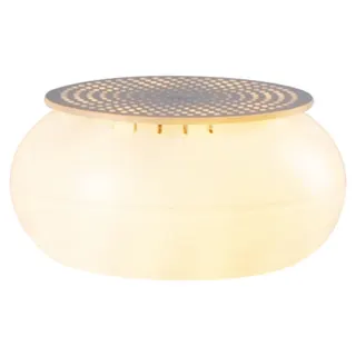 Ampoule LUMISKY LUMI CORE