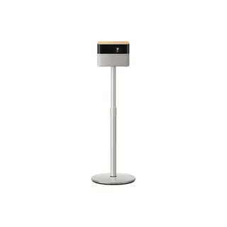 Accessoire vidéoprojecteur EPSON ELPFS01