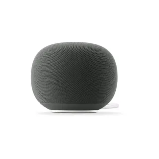 Assistant vocal GOOGLE Home Speaker Vert Sauge