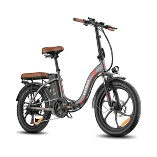 Vélo électrique FAFREES F20 PRO-20AH