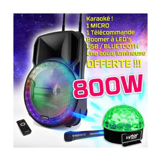 Pack sono PARTY LIGHT&SOUND Enceinte DJ PARTY KARAOKE 800W sono port