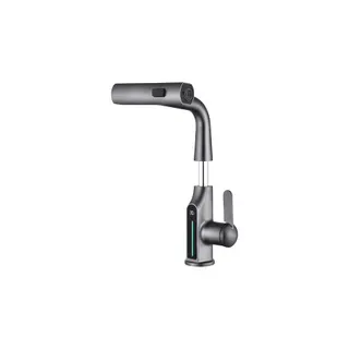 Robinet AVIZAR Extensible avec Affichage de Température