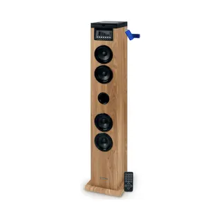 Enceinte Bluetooth EVIDENCE ACOUSTICS Tour de son Thomson DS122CD - 60W - Mult