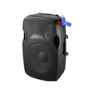 Enceinte sono KOOL SOUND ACTIVE 10"/25cm - 300W+Clé USB 32G