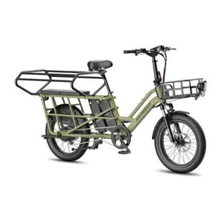 Vélo électrique FAFREES FF20 CUV-30AH