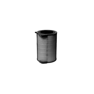 Filtre ELECTROLUX H13 et charbon EFDCLN6E