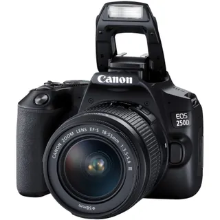 Appareil photo Reflex CANON EOS 250D Noir + 18-55mm IS STM Reconditionné